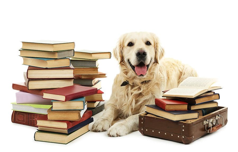 good-dog-sitting-among-books