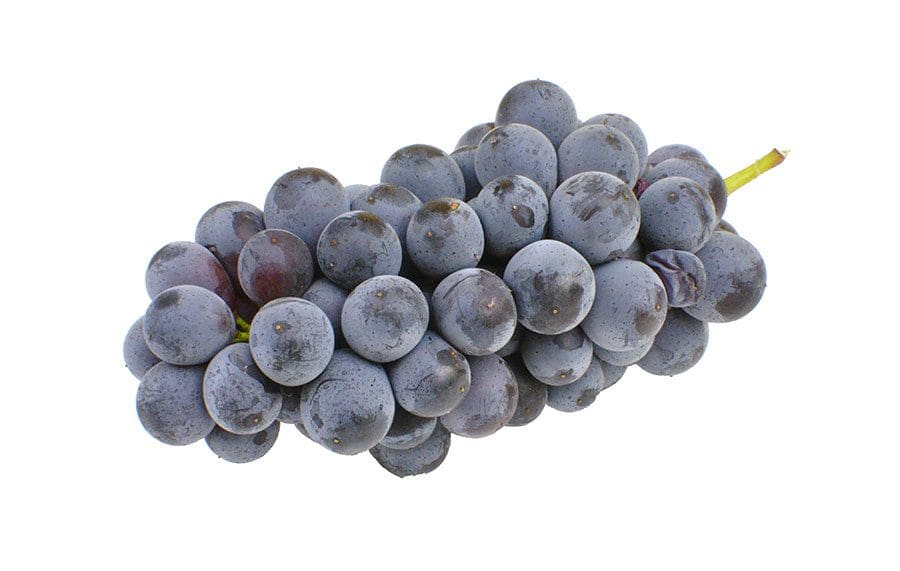 bunch-of-grapes