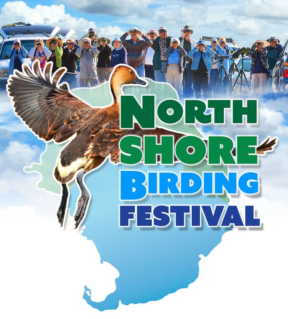 north-shore-birding-festival-flier