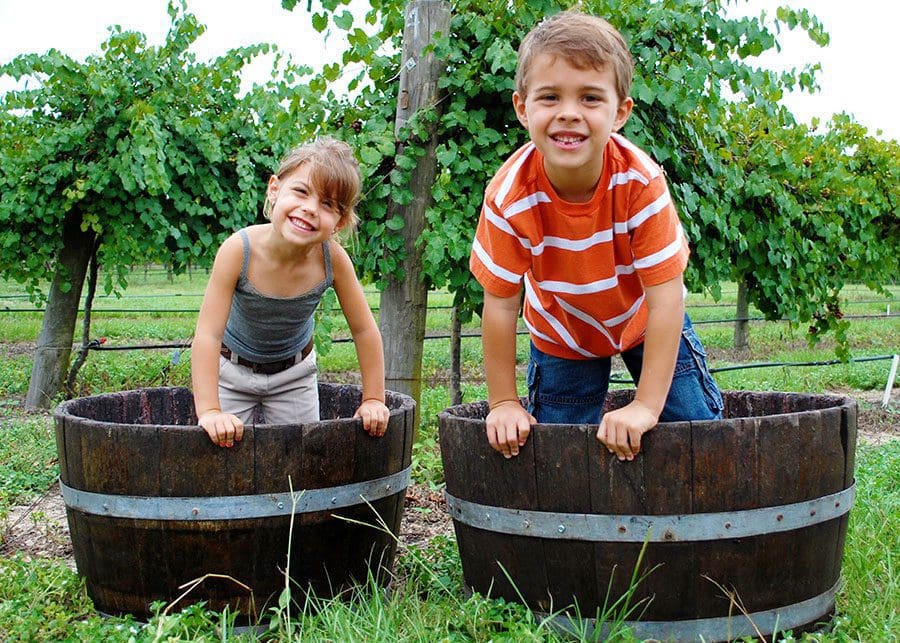 Kids-Grape-Stomping