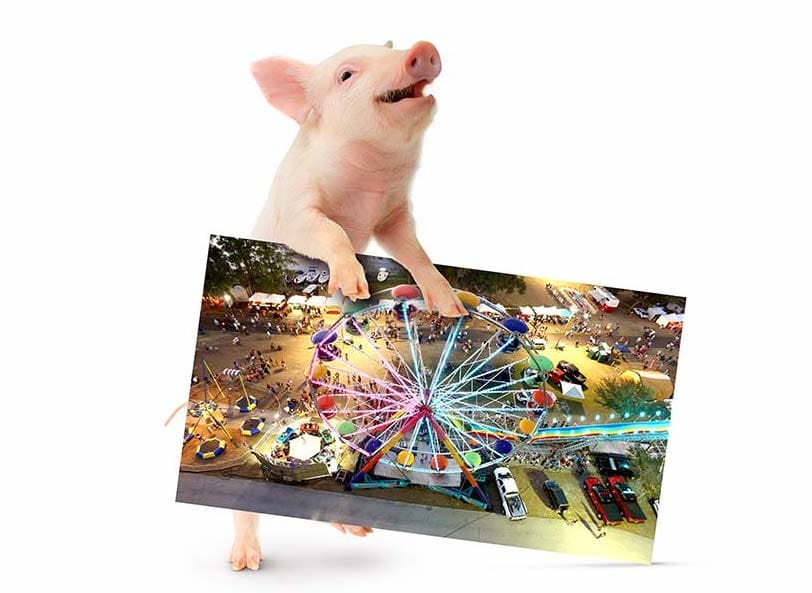 pig-holding-carnival-photo