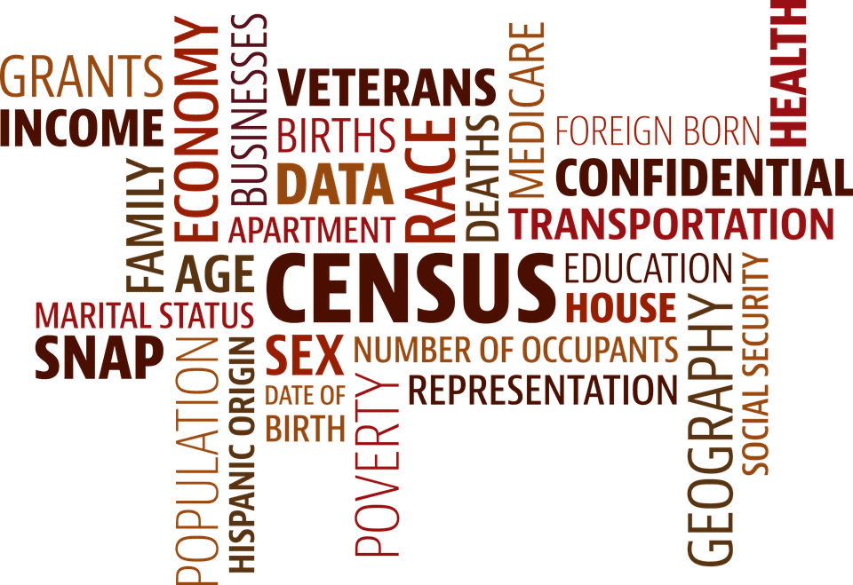 census-montage-of-words