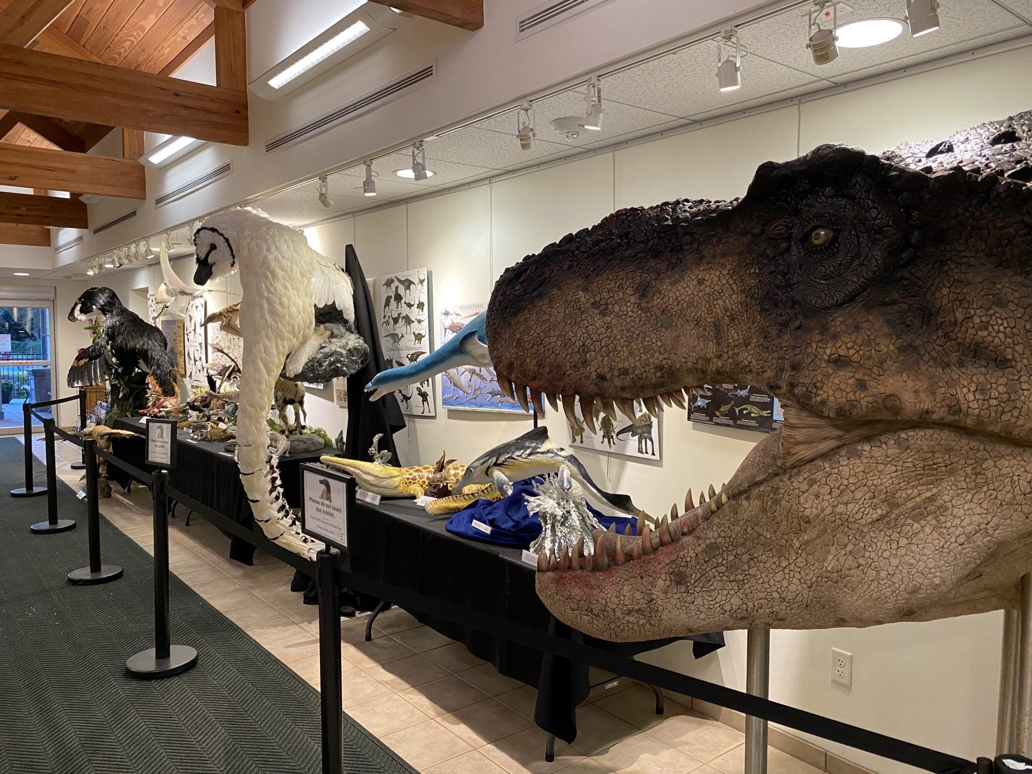 Dinosaur exhibit returns to the W.T. Bland Public Library