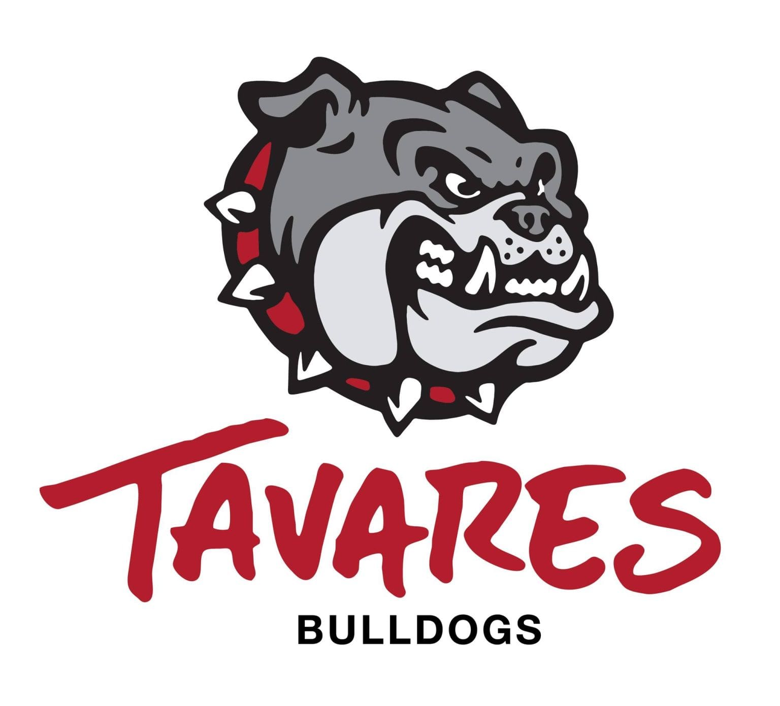 Tavares High School Introduces New School Logo