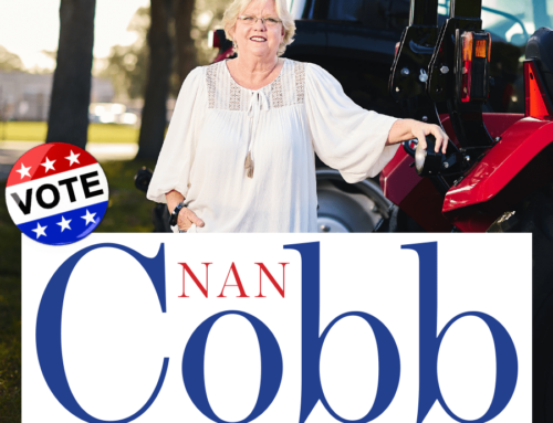 Meet the Candidate: Nan Cobb