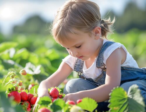 Explore the Bounty of Local Farms, Where Picking Produce and Flowers Is Just the Start of the Fun