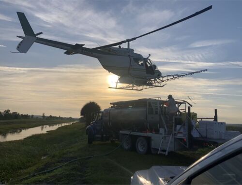 Aerial Herbicide Treatment Planned for the Pine Meadows Conservation Area in Eustis