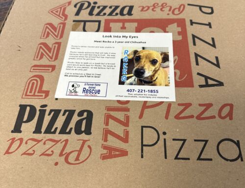 Local Pizzerias Partner with Animal Rescue to Help Dogs Find Forever Homes