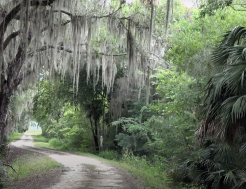 Lake County To Discuss Removing 1,300 Acres from Emeralda Marsh Rural Protection Area for Future Development