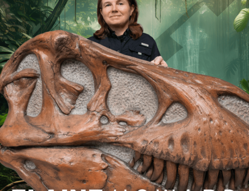 Leesburg Attorney Shares Passion As Dinosaur Fossil Hunter