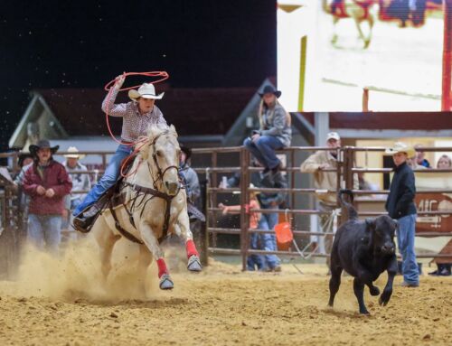 Sumter County Fair Prepares for 70th Year with Headlining Guests Shenandoah, Priscilla Block and Southbound