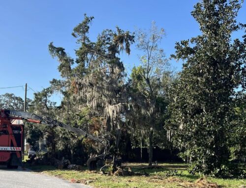 Lake County Residents Must Have Hurricane Milton Debris Curbsite By Jan. 25th