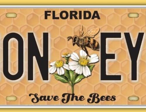 Beekeepers Association Calls for Support to Launch “Save the Bees” Specialty License Plate