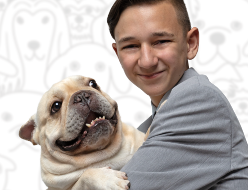 Groveland Teen and French Bulldog Johnny Awarded National Junior Top 20 Titles