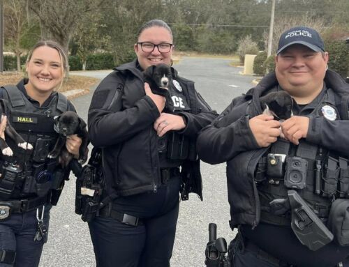 Lady Lake Officers Rescue Abandoned Puppies From Freezing Woods