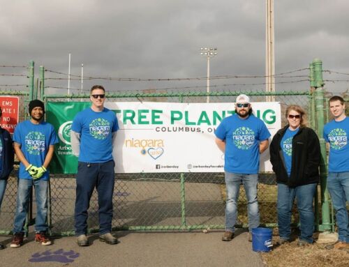 Niagara Cares, the Arbor Day Foundation and IDEAS for Us Plant 42 Trees in Groveland