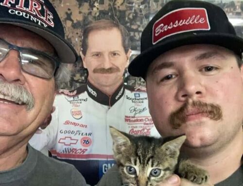 Hitchhiking Kitten Resuced by Lake County Firefighters Finds Forever Home