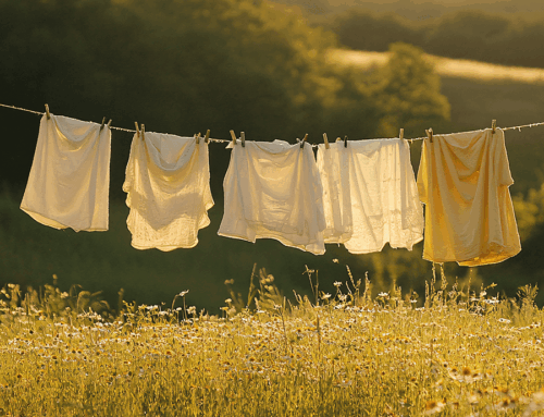 Final Thought: Amid Fluttering Fabric and Birdsong, a Simple Chore Becomes a Timeless Bond