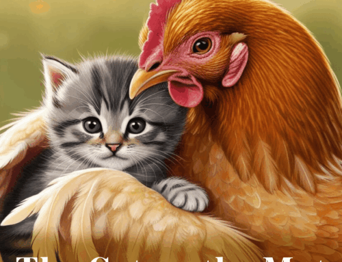 Final Thought: Resistance is Futile When a Feral Kitty Shows Up on Your Doorstep