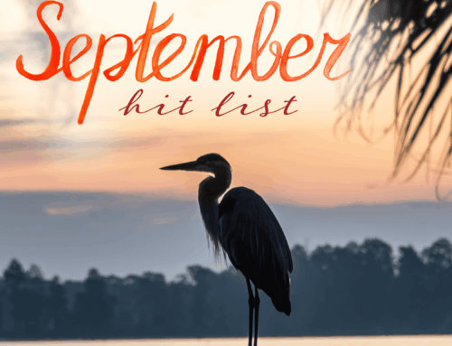 What’s Going On In and Around Lake County September 2025