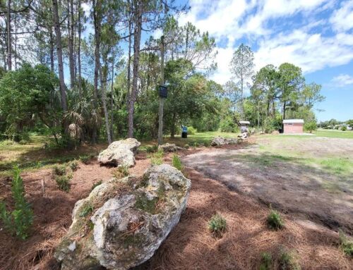 City of Tavares Announces Renaming Its “Nature Parks” to “Nature Preserves