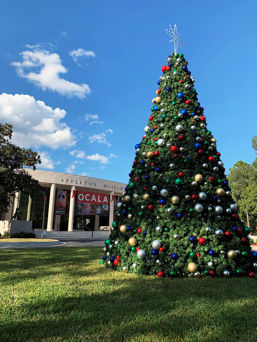 outdoor tree