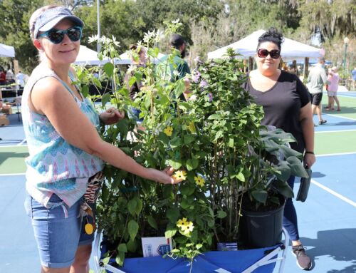 Mount Dora Plant & Garden Fair Still On for This Weekend