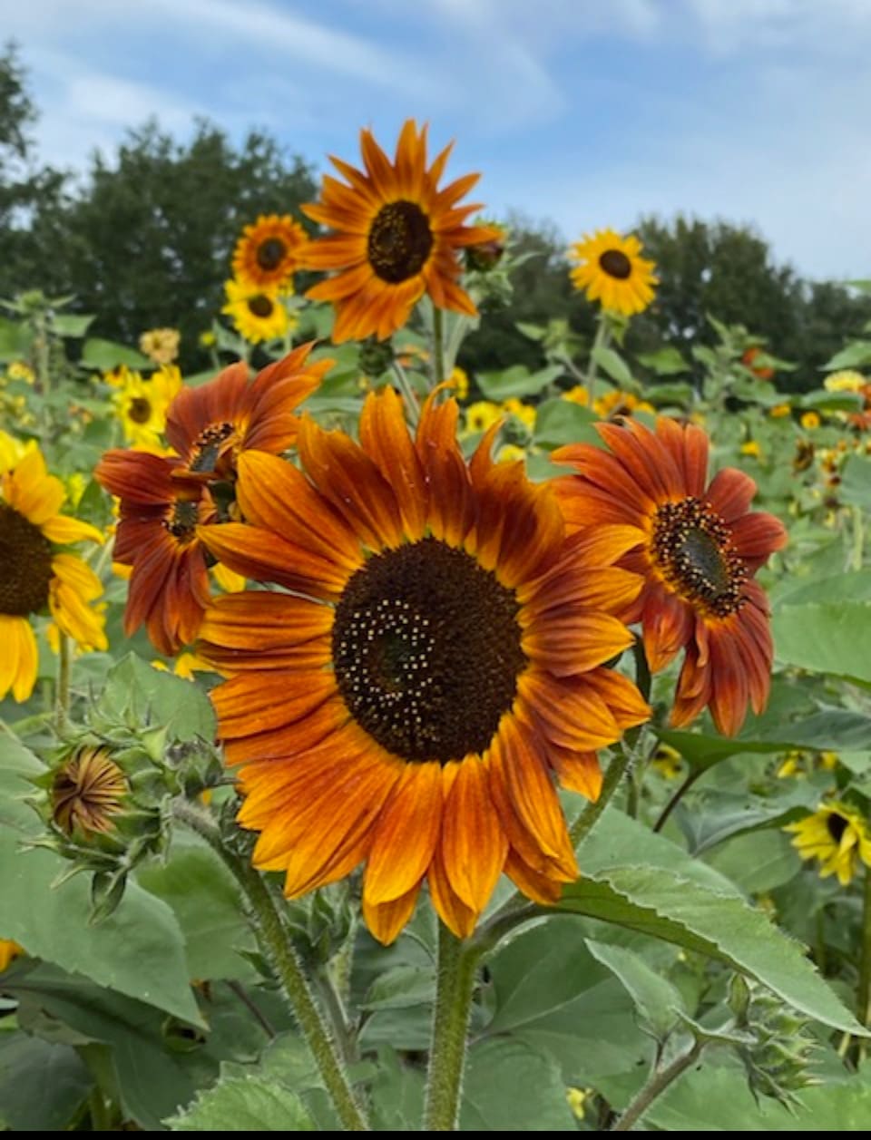 88A0F96F-F546-461F-8370-BA7CA8D69E33