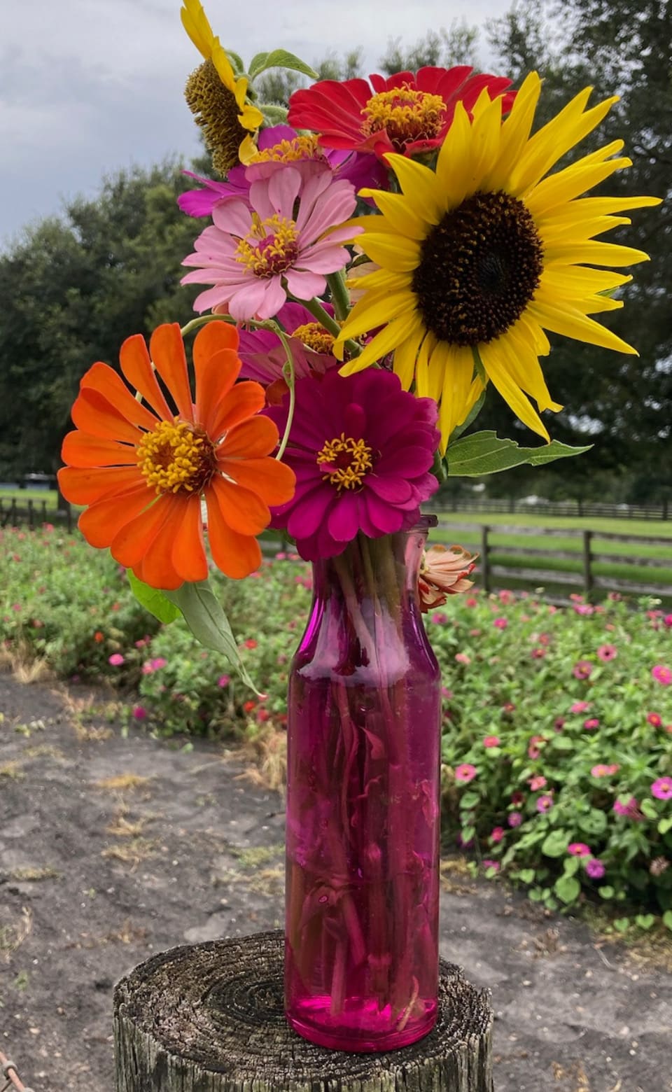 A2EAEDB9-3CA9-4D36-8288-0233809480AE