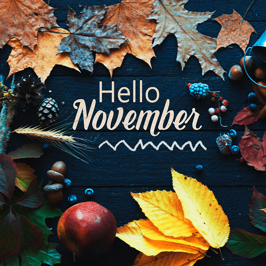 AdobeStock_297680196