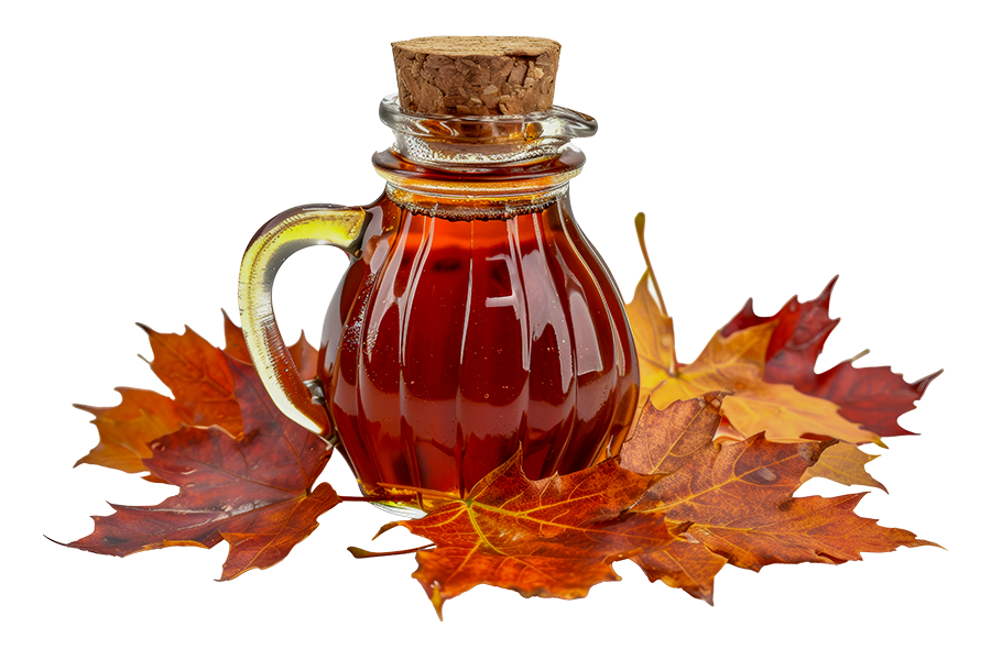 AdobeStock_801957512