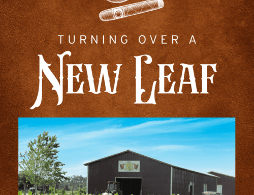 How a Lake County Farm Brought Cigar Tobacco Back to Florida