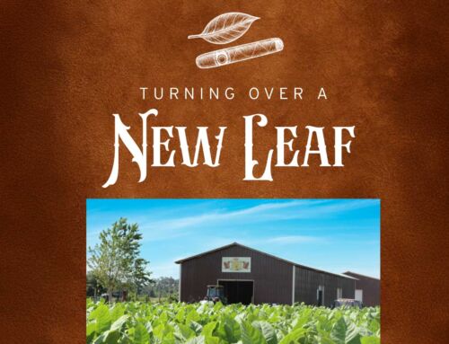 How a Lake County Farm Brought Cigar Tobacco Back to Florida