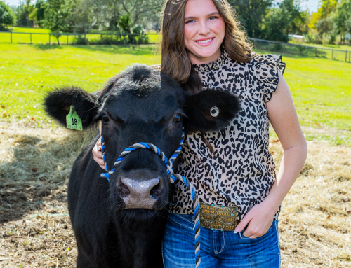 Homegrown Cowgirl Raises Farm-to-Table Beef From Her Own Herd