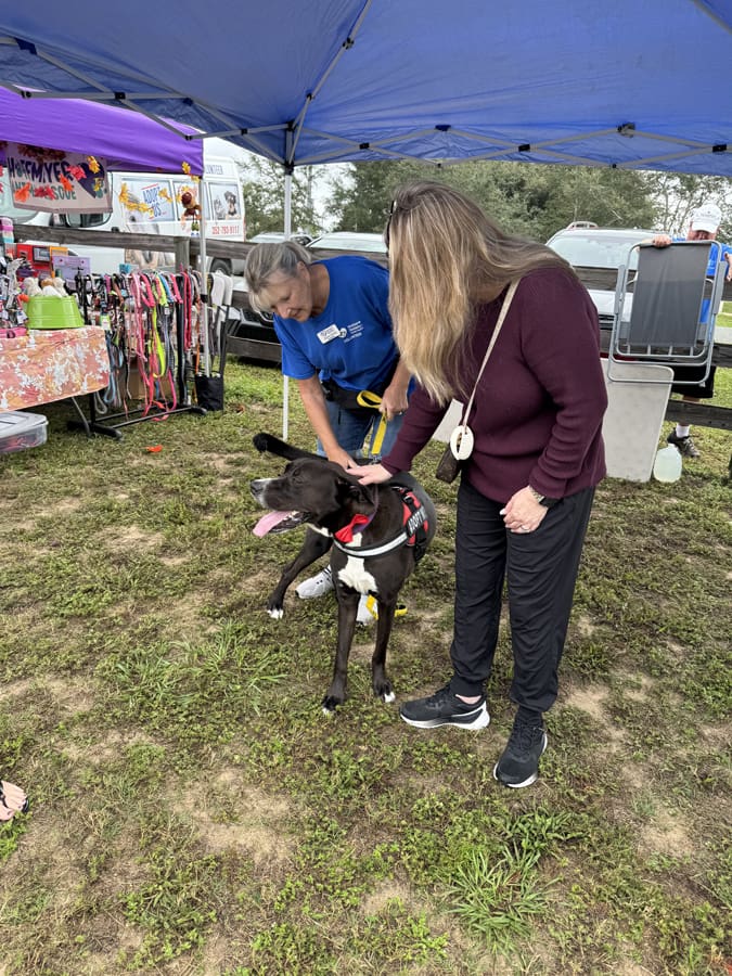 Photo Oct 11 2025, 10 50 51 AM