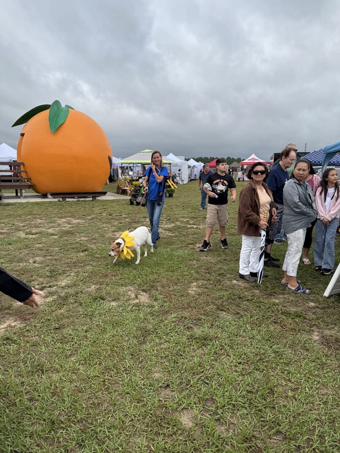 Photo Oct 11 2025, 10 51 24 AM