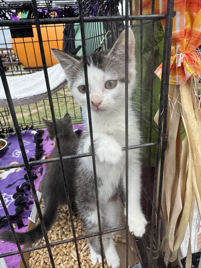 Photo Oct 11 2025, 10 52 41 AM