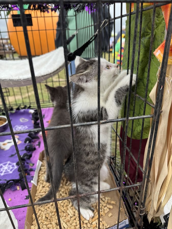 Photo Oct 11 2025, 10 52 43 AM (1)