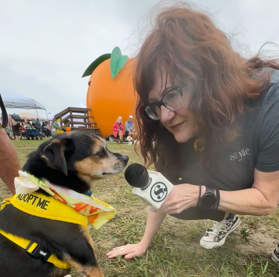 Photo Oct 13 2025, 10 47 01 AM (3)