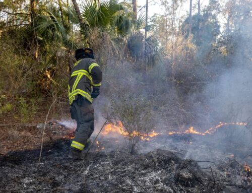 Dry Conditions Persist, Heightening Wildfire Risks Amid Mandatory Burn Bans 
