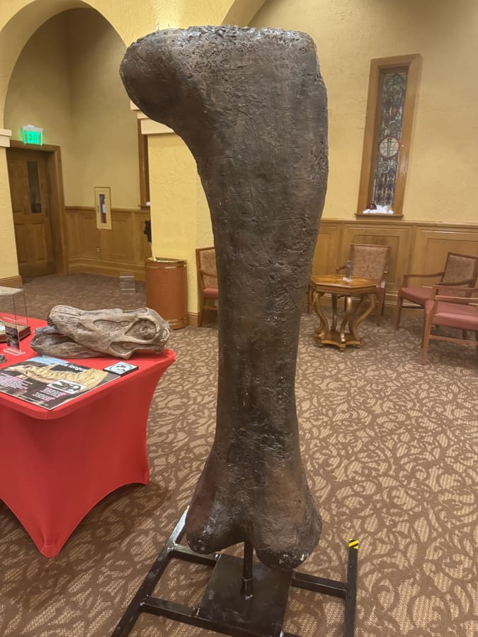 Photo Dec 03 2025, 8 47 04 PM