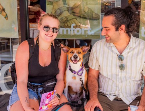 On the Scene: Mount Dora Ice Cream Stroll & Pup Walk