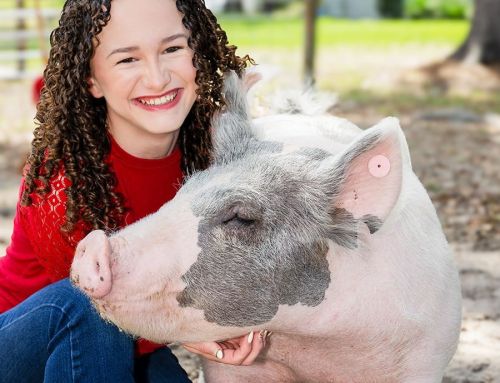 In the Show Ring, Olivia Echevarria Finds Confidence She Lost