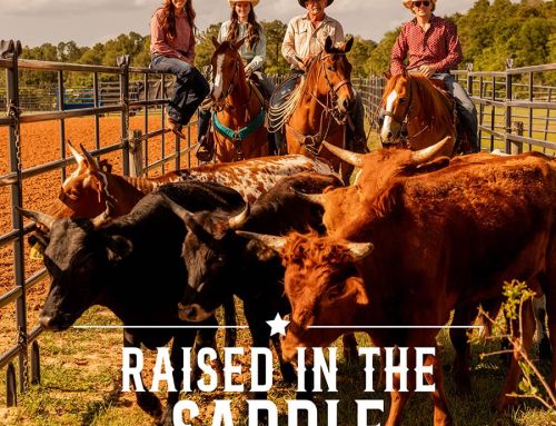 Generations of the Fickett Family Have Carried on Florida’s Ranching Tradition