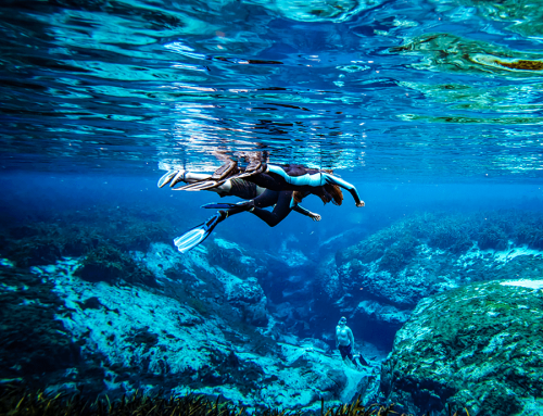 Alexander Springs Gives Visitors a Reason to Unplug with Snorkeling, Kayaking and Spring Runs