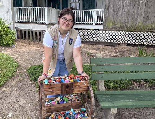 Clermont Teen Creates Inspirational Rock Garden for Cancer Survivors