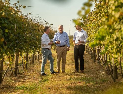 Lakeridge Winery Harvest Festival & Grape Stomp Returns