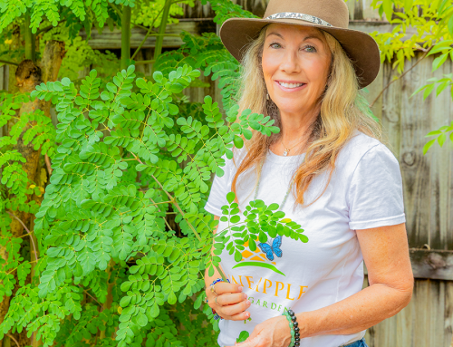 Pineapple Peace Garden: Katie Haley’s Minneola Healing Oasis