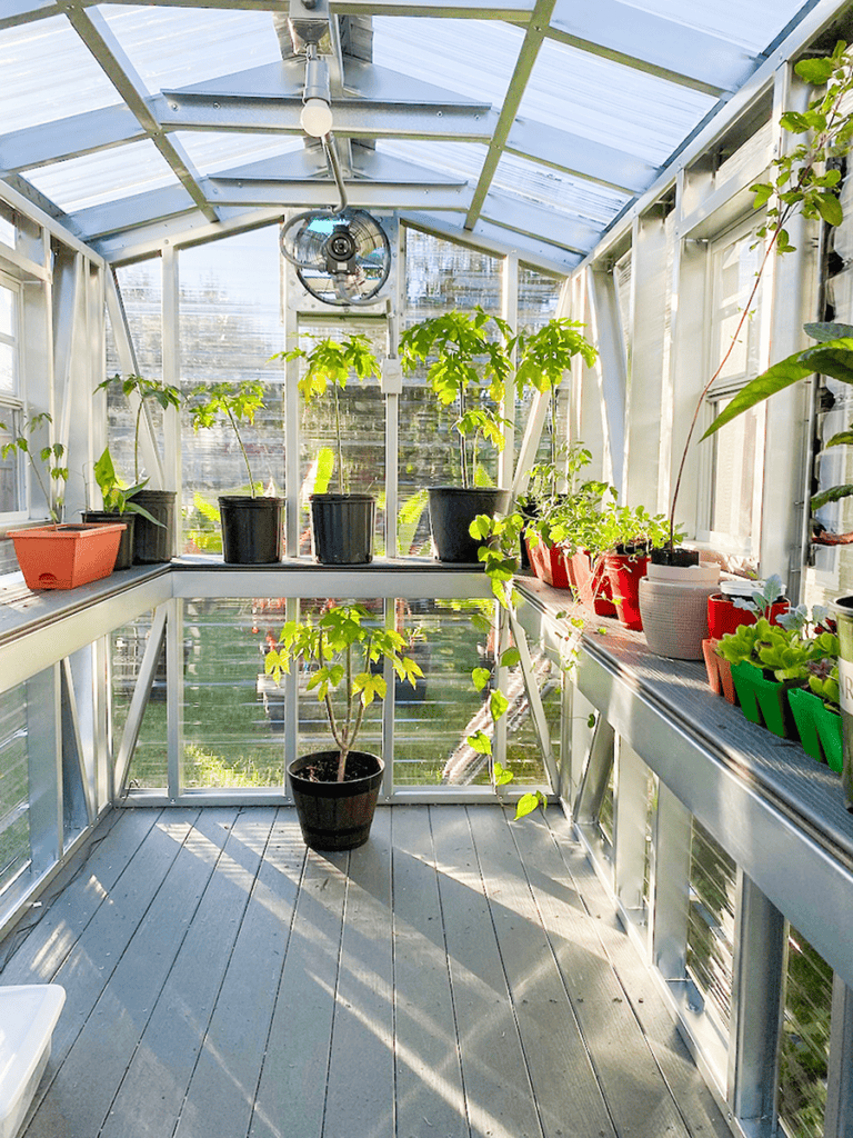 Greenhouse