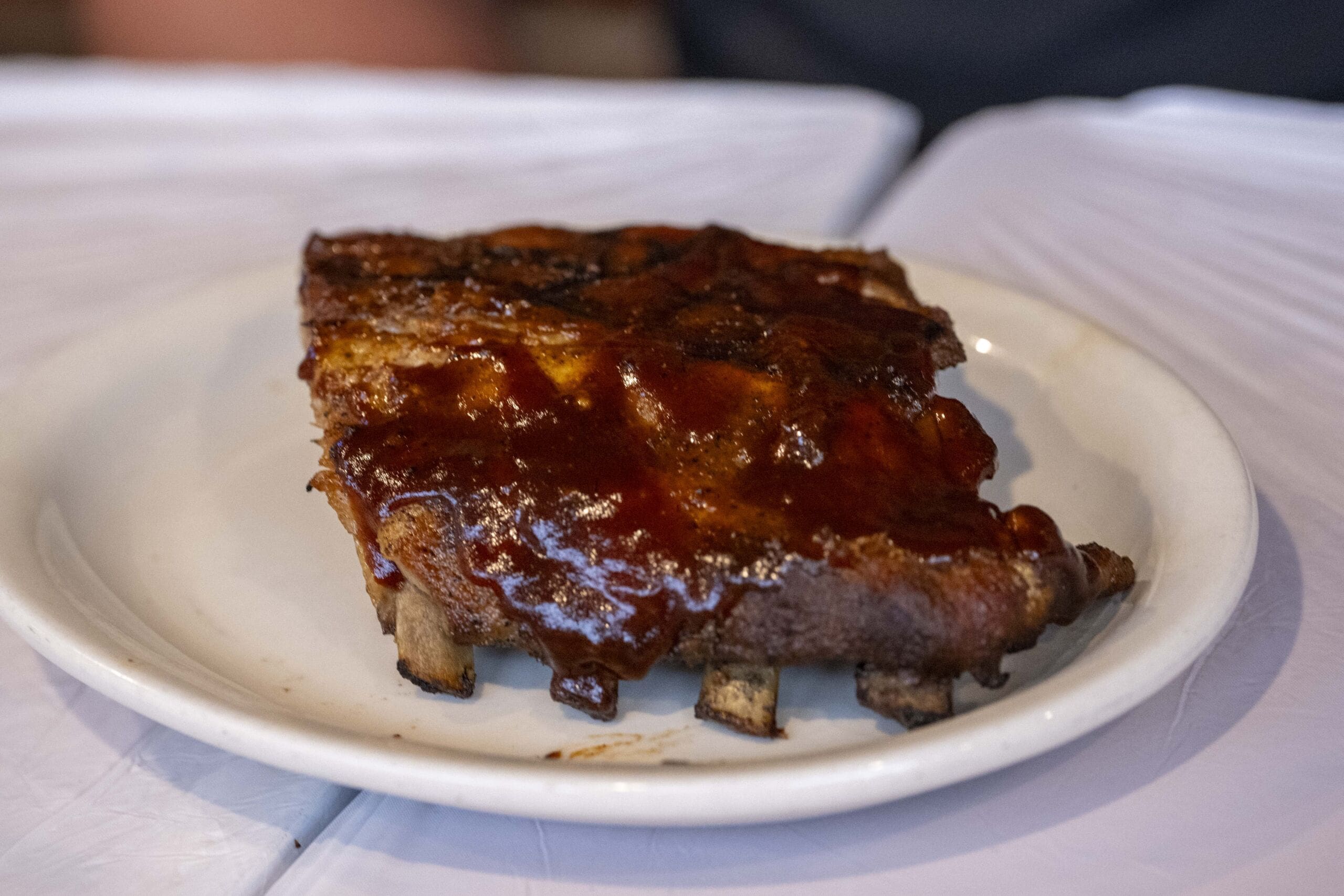 rib_DSC2016